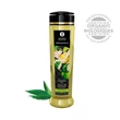 Shunga masszázsolaj-zöld alma 240 ml