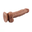 Fashion Dude 8.5 inch Cock Latin