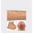 8.7&quot; Real Extreme Extra Girth Dildo