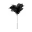 GP Small Feather Tickler Toll cirógaató