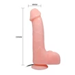 Baile Barbara 22 cm